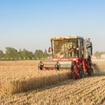 Tang Renjian, China's minister of agriculture and rural affairs, recently told reporters that heavy rainfall and flooding in fall 2021 delayed the seeding of about one-third of the country's winter wheat crop. | Getty Images