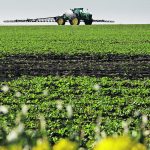 Canola production will suffer as more herbicide tolerant weeds develop in Western Canada. Producers have become used to low-cost, single product approaches, but those days are coming to an end, say experts. | Mike Raine photo