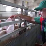 The program is aimed at improving producers’ understanding of their financial situations and the different options available to remain competitive. | Getty Images