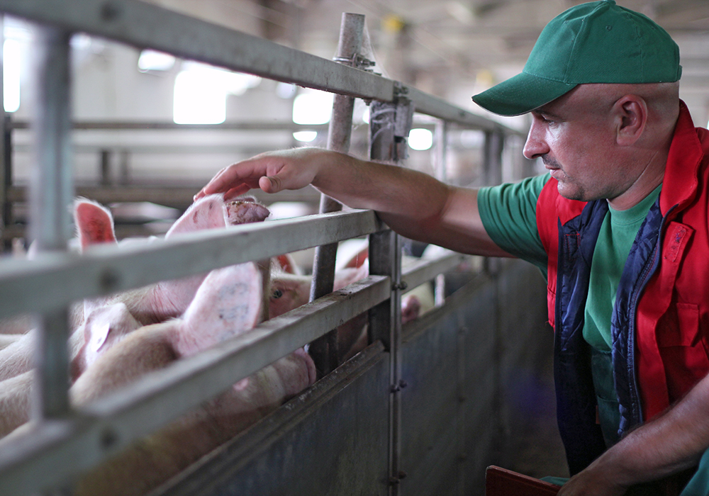 The program is aimed at improving producers’ understanding of their financial situations and the different options available to remain competitive. | Getty Images