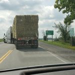 Only 150 producers in the drought-affected regions have received hay through the pro- gram and about 50 are on the "urgent" list. | Twitter/@kinburnsheep photo