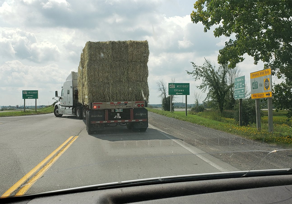 Only 150 producers in the drought-affected regions have received hay through the pro- gram and about 50 are on the "urgent" list. | Twitter/@kinburnsheep photo