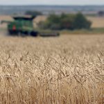 The conflict has pushed already high wheat prices to levels not seen since the 2008 record spike, and corn and oilseeds are close on wheat’s heels. | File photo