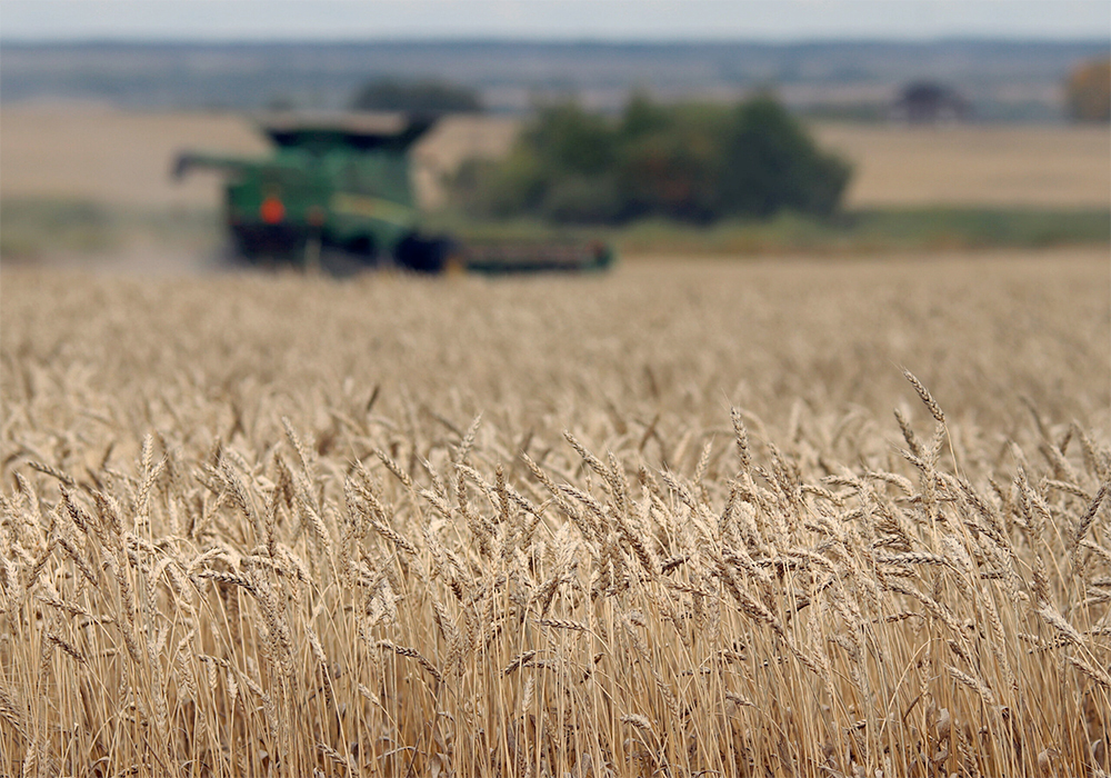The conflict has pushed already high wheat prices to levels not seen since the 2008 record spike, and corn and oilseeds are close on wheat’s heels. | File photo