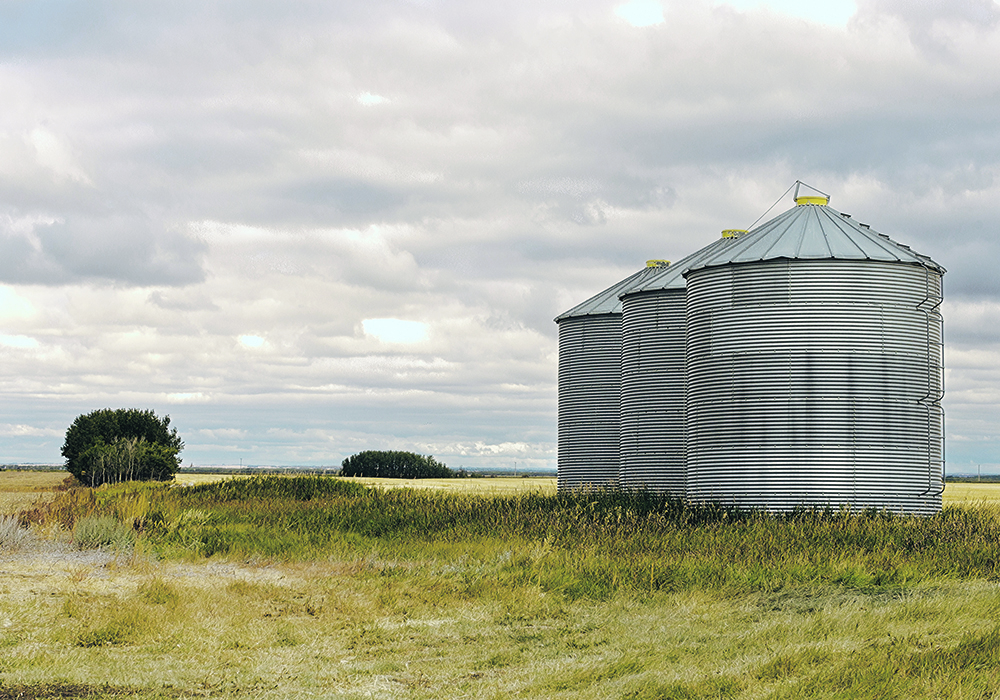 Some of the terms used in grain contracts can result in disagreements, but most of the common concerns raised by growers are covered in the contracts' fine print. | Getty Images