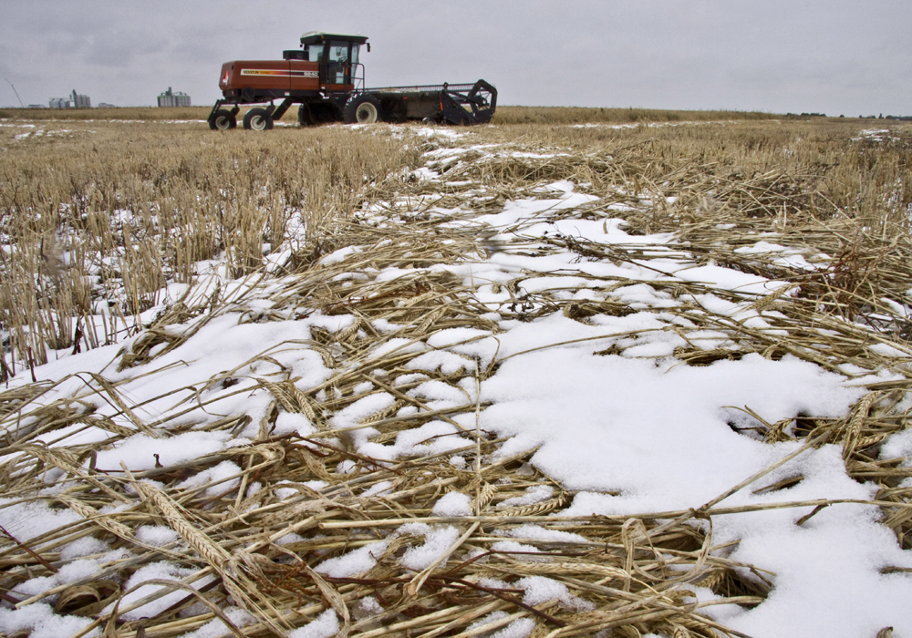 In a March 14 news release, agriculture minister David Marit and federal minister Marie-Claude Bibeau said they had added two weeks to the deadline because of supply chain concerns. | File photo