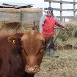 Alfred Sattler was born and raised in the Regina area and lived there his entire life. He raised hogs to finance his agriculture education at the University of Saskatchewan from 1959-61. He established his first purebred Hereford herd in 1962 and quickly became known for producing quality stock. | File photo