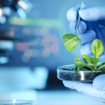 Louis Dreyfus said it was opening a research facility in the San Francisco area to accommodate a group of researchers and engineers that will work to develop plant-based foods. | Getty Images
