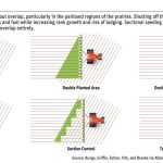 Seed once for better crops and fewer inputs
