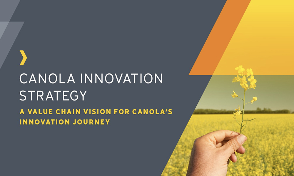 The canola innovation strategy, released March 10 by the Canola Council of Canada, was the result of a year-long consultation process that involved stakeholder groups throughout the canola value chain, from farmers and researchers to processors and food companies, says Curtis Rempel, CCC's vice-president of crop production and innovation. | Twitter/@canolacouncil image