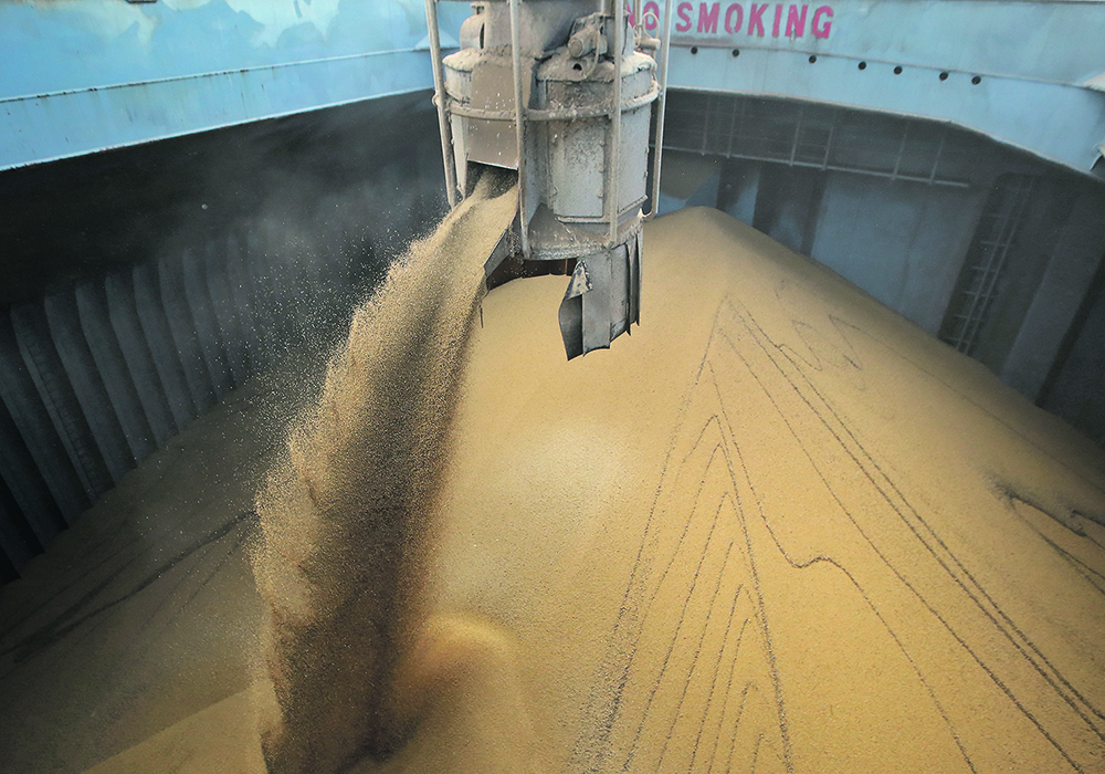 China spent US$53.6 billion on foreign soybeans in 2021, up 26 percent from the previous year, according to the Dim Sums Blog. | Reuters photo