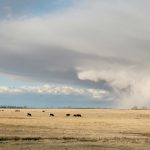 Saskatchewan Municipal Hail Insurance president Wayne Black said 77 storms in 2021 affected 254 rural municipalities and cost $132 million. | File photo