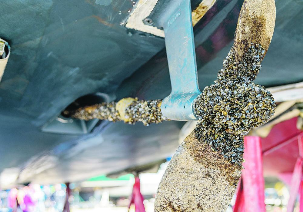 Mussels are spread mainly by watercraft being transferred from infested waters to other water bodies, and slowing their spread has focused largely on decontaminating boats. | Getty Images