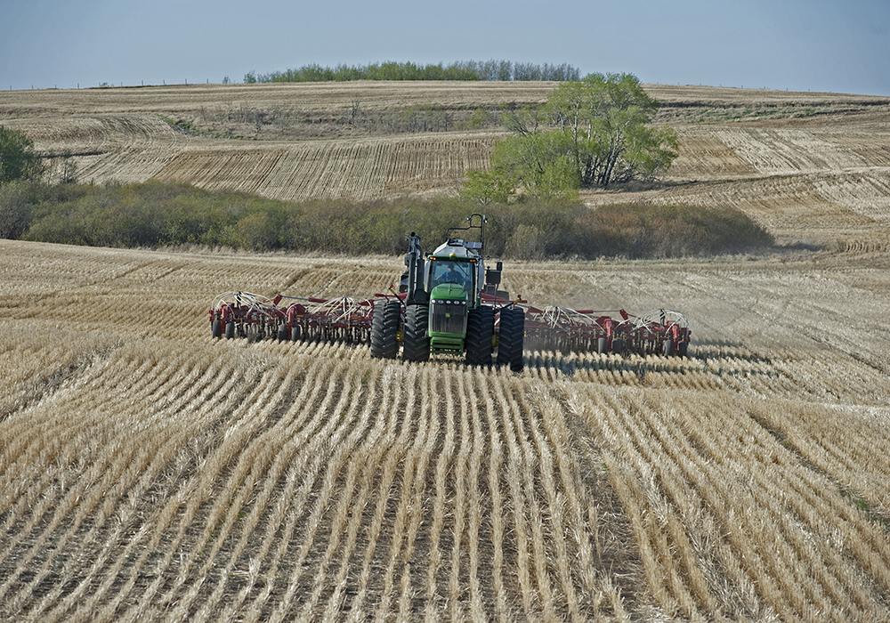 MarketsFarm analyst Bruce Burnett said U.S. planting intentions are a harbinger of what may happen in Western Canada this spring, where he fully anticipates a decline in spring wheat and an increase in a "plethora" of other crops, including durum. | File photo