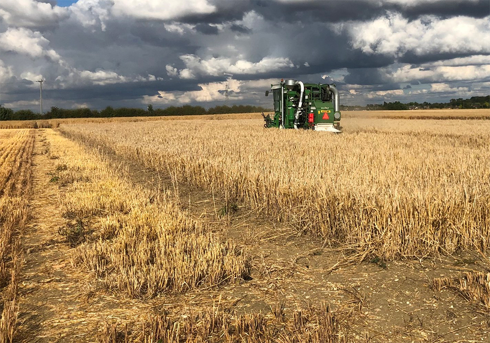 This month in England, researchers from the University of Cambridge Crop Science Centre will seed a barley variety that has been genetically modified so it can better interact with mycorrhizal fungi. | Screencap via Twitter/@Cambridge_Uni