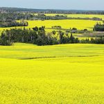 Ken Greer of Western Ag says that to get a response from variable rate fertilization, you need significant low, medium and high topography, something few prairie fields have. | Robin Booker photo