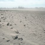 The region of brown soil running from Lethbridge in the west to Oyen, Alta., in the north and running past Moose Jaw in the east is well known for having dry conditions. | File photo