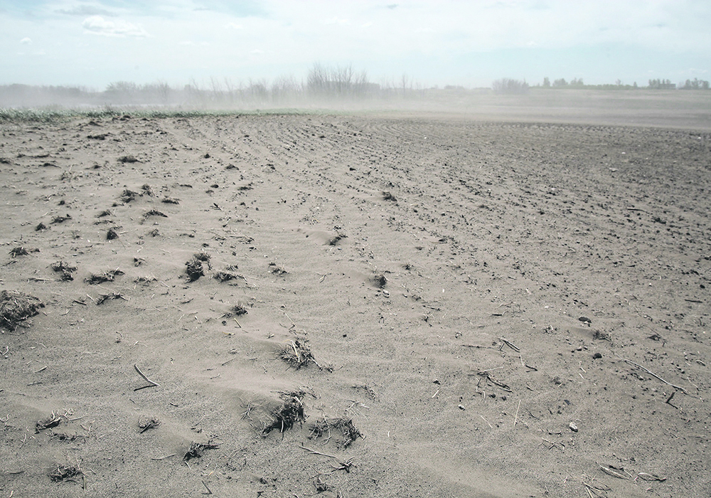 The region of brown soil running from Lethbridge in the west to Oyen, Alta., in the north and running past Moose Jaw in the east is well known for having dry conditions. | File photo