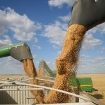A business publication controlled by the Chinese Communist Party reported on a study by China Agriculture University that determined while Canada has low wheat prices and good quality, importing Canadian wheat poses a high risk because "Canada's affairs are greatly influenced by the United States." China has become Canada's top wheat market in recent years. | Getty Images