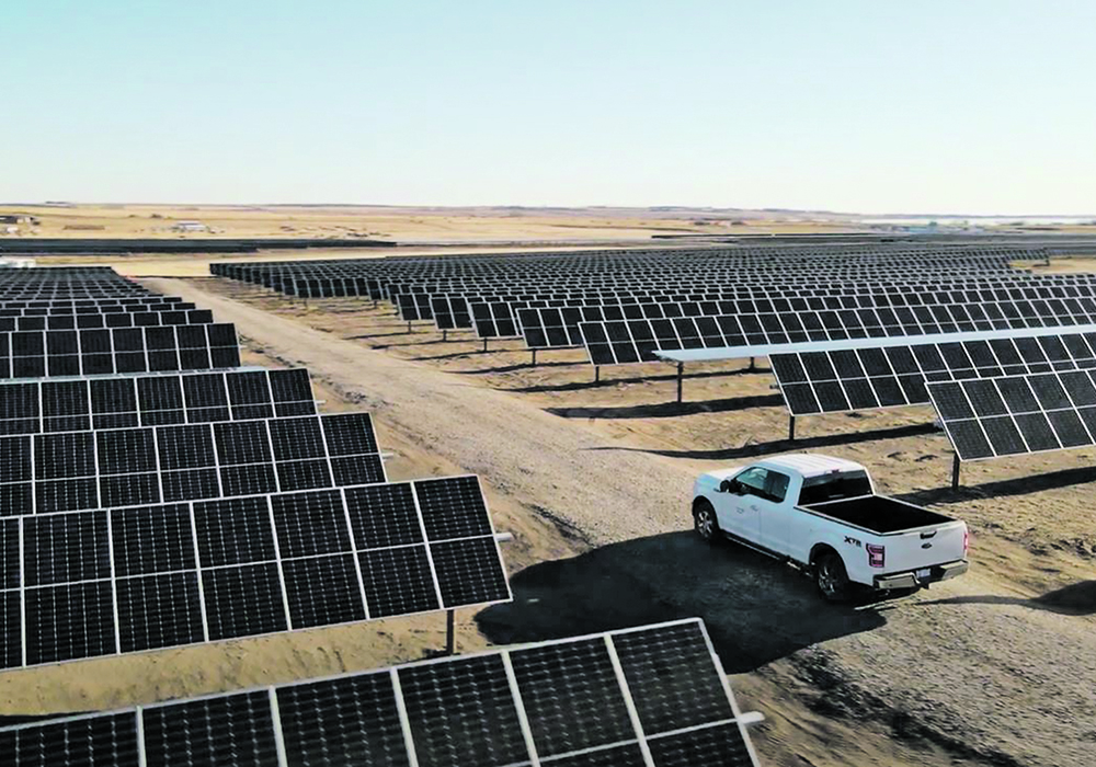 Capital Power Corp. plans to install more than 100,000 solar panels near Strathmore, Alta., and use sheep to control grass at the site. The producer it is hiring to provide the grazing says sheep are ideal because of their smaller size and relative lack of curiosity, which means they won’t damage the equipment. | Capital Power Corp. photo