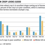 Russian wheat crop may weigh on market if war ends