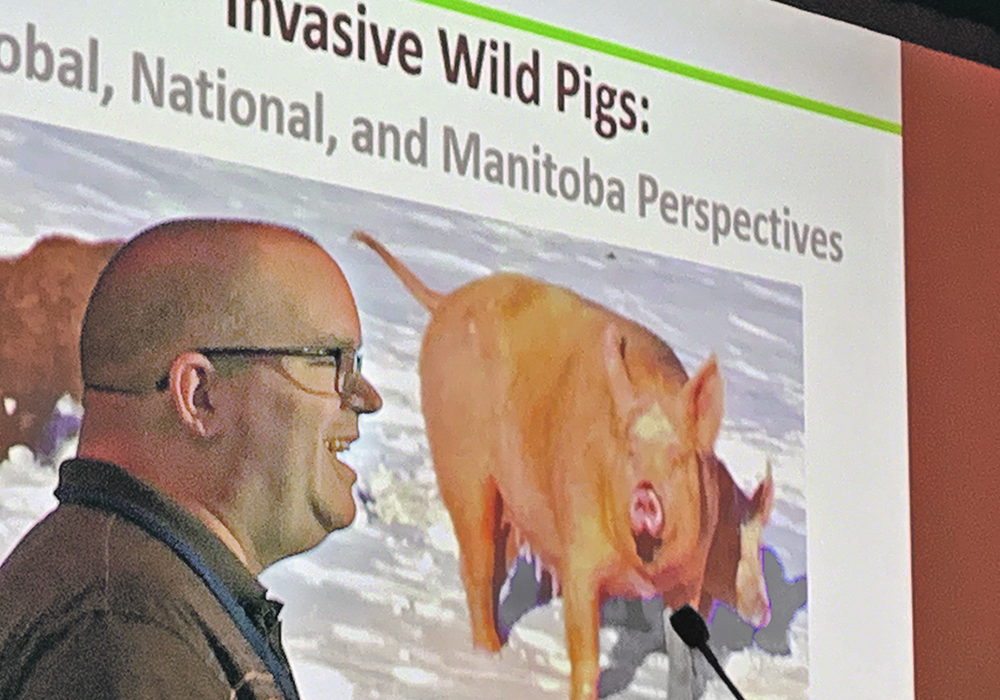 Ryan Brook of the University of Saskatchewan has been following the spread of wild pigs across Canada. | Ed White photo