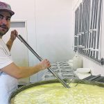 Kevin Petty of Saskatoon Spruce stirs curds in his vat. A vat filled with 250 litres of raw milk typically produces about 26 kilograms of cheese, or 13 two-kilogram wheels. | Brian Cross photo
