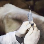 Antibiotic resistance is a growing issue across the world, with more resistant infections developing as antibiotics are overused in human medicine and livestock production. | Getty Images