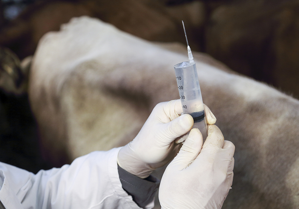 Antibiotic resistance is a growing issue across the world, with more resistant infections developing as antibiotics are overused in human medicine and livestock production. | Getty Images