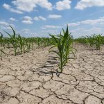 The science of long-term weather patterns across the prairie provinces finds a profound consensus among those studying the topic — the climate is warming due to human influence. | Getty Images