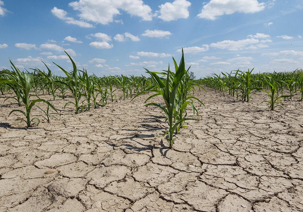 The science of long-term weather patterns across the prairie provinces finds a profound consensus among those studying the topic — the climate is warming due to human influence. | Getty Images
