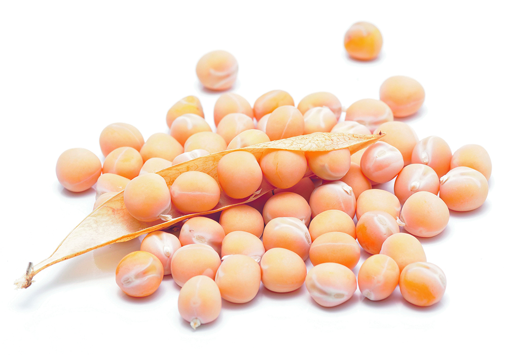 The plant protein sector says supply chain issues, commodity prices and recent geo-political events have made it even more important to develop the country’s processing capacity. | Getty Images