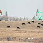 The Alberta government has restored a special lien that rural municipalities canuse to try to recover unpaid taxes owed by oil and gas companies but applying it to a company’s assets has proven to be complicated. | Mike Sturk photo