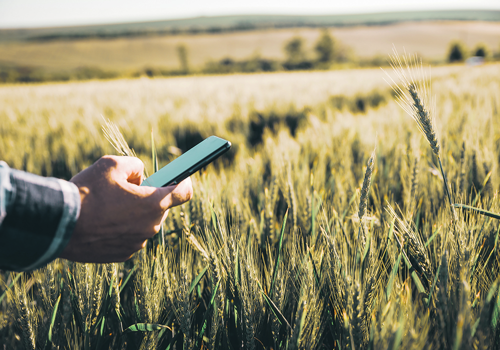 The Do More Agriculture Foundation’s Embracing the Awkward initiative is about starting conversations that can be challenging for many producers because it’s not something they grew up doing. | Getty Images