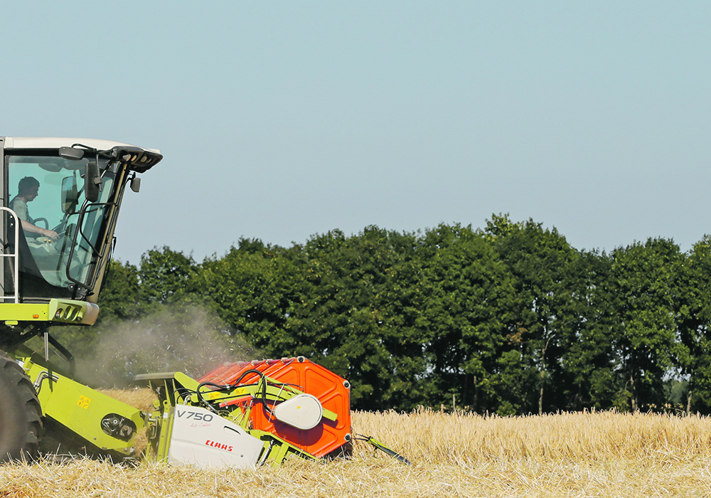 Ukrainian barley plays a major role in the global market for the crop. Customers will be left scrambling if supplies from thatcountry decline this year because of the war. | Reuters/Valentyn Ogirenko photo