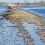 The Water Security Agency warned of the potential for overland flooding as temperatures rise and rain is in the forecast. Flooding could occur into next week. | File photo