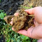 The prairie soil carbon balance study initiated by the Saskatchewan Soil Conservation Association in 1996 provides important information for policy development. | File photo