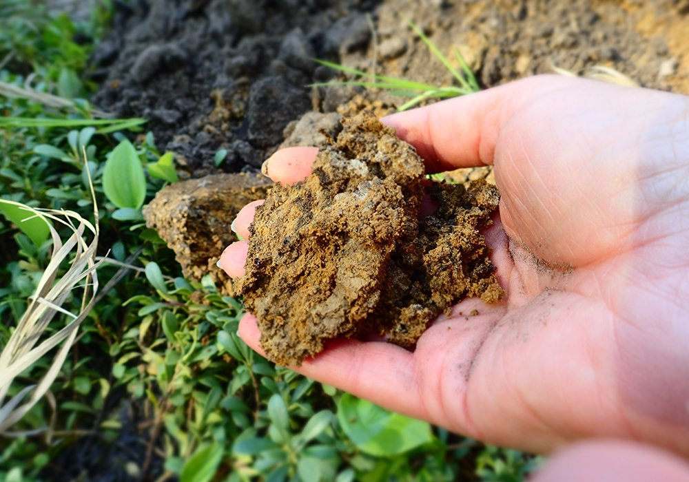 The prairie soil carbon balance study initiated by the Saskatchewan Soil Conservation Association in 1996 provides important information for policy development. | File photo