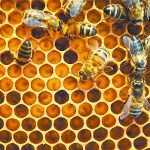 Estimates of average losses have ranged from 40 to 45 percent in Alberta and Manitoba to about 30 percent in Saskatchewan, executive director Ron Scarlett of the Canadian Honey Council said recently. | File photo