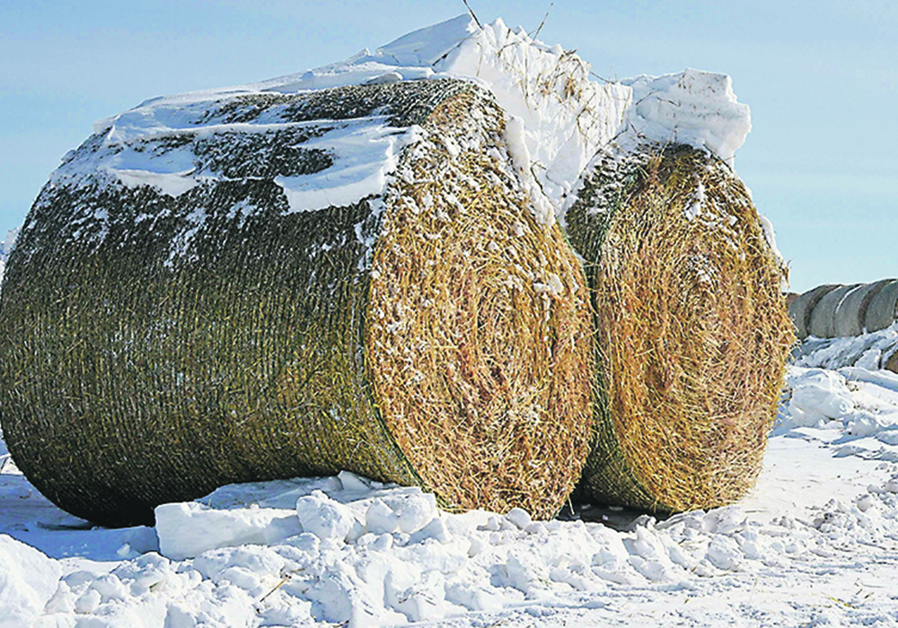 The company advertised grain hay and barley and wheat straw for sale.  |  File photo