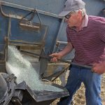 Petition e-3940 calls on the government to work with farmers and others "to ensure any plan to reduce agricultural emissions does not restrict or financially discourage the amount of fertilizer that Canadian farmers use and does not limit Canada's ability to maximize food production." | File photo