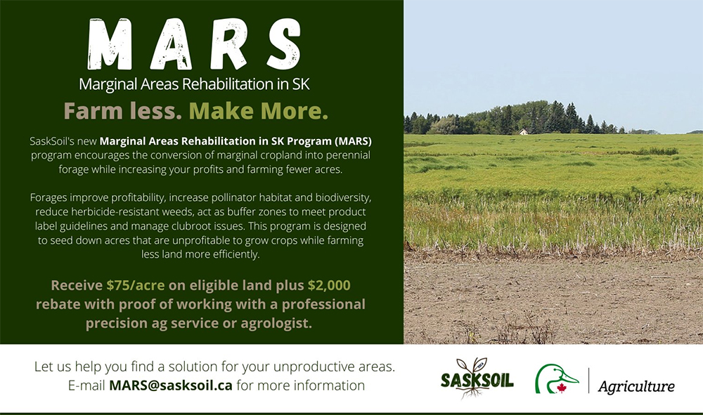 The Marginal Areas Rehabilitation in Saskatchewan program offers financial incentives to those who seed marginal acres to perennial forage.  | Screencap via Twitter/@SaskSoil