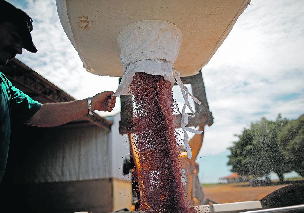 Brazil’s main soybean season starts in September, and potash is the most crucial nutrient for that crop.  |  Reuters/Adriano Machado photo