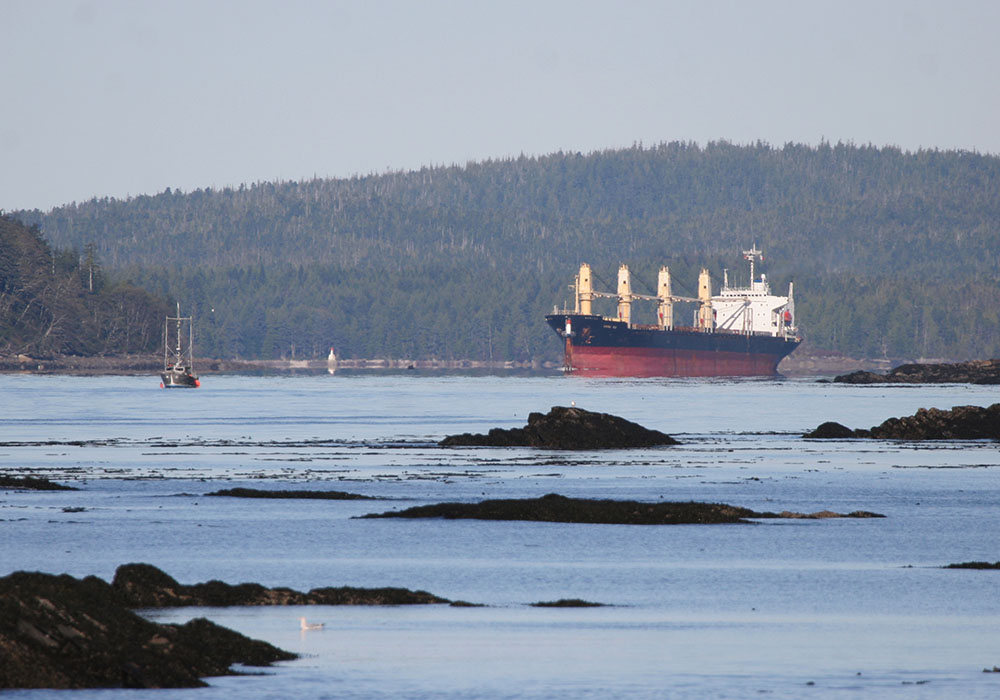 Wheat exports will be down for some Canadian customers, but not others.  |  WP file photo