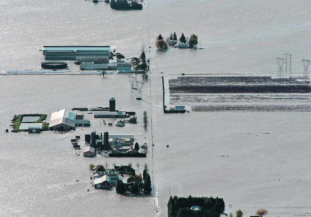 More than 1,100 British Columbia farms were under evacuation order or alert during massive flooding that hit the province last November. The disaster affected about 37,066 acres of farmland and 2.5 million livestock.  |  Reuters/ Jesse Winter photo