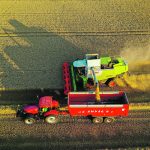 The expected yield reduction would come as French farmers cut back on wheat seeding. | Reuters/ Pascal Rossignol photo