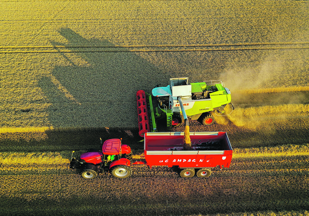 The expected yield reduction would come as French farmers cut back on wheat seeding.  |  Reuters/ Pascal Rossignol photo