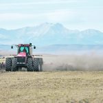 “The old saying is ‘plant in the dust and your grain bins will bust’,” said Lynn Jacobson, president of the Alberta Federation of Agriculture.
| Mike Sturk photo