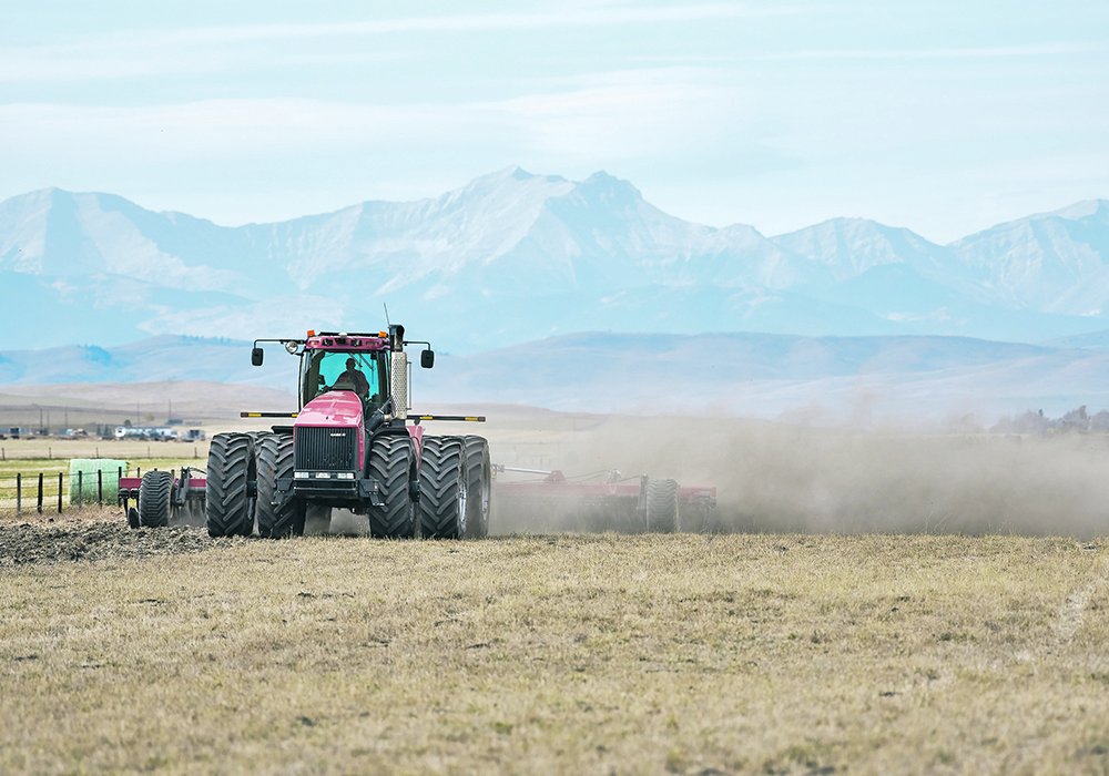 “The old saying is ‘plant in the dust and your grain bins will bust’,” said Lynn Jacobson, president of the Alberta Federation of Agriculture.  | Mike Sturk photo