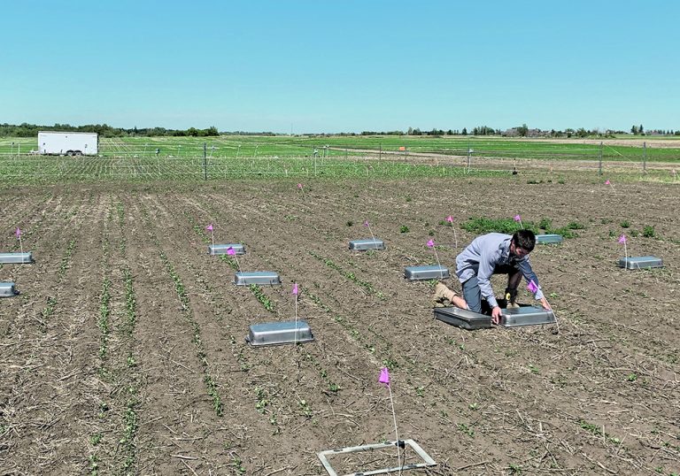 Nitrous oxide soil emissions difficult to measure The Western Producer